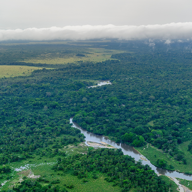 Congo Basin Ariel view